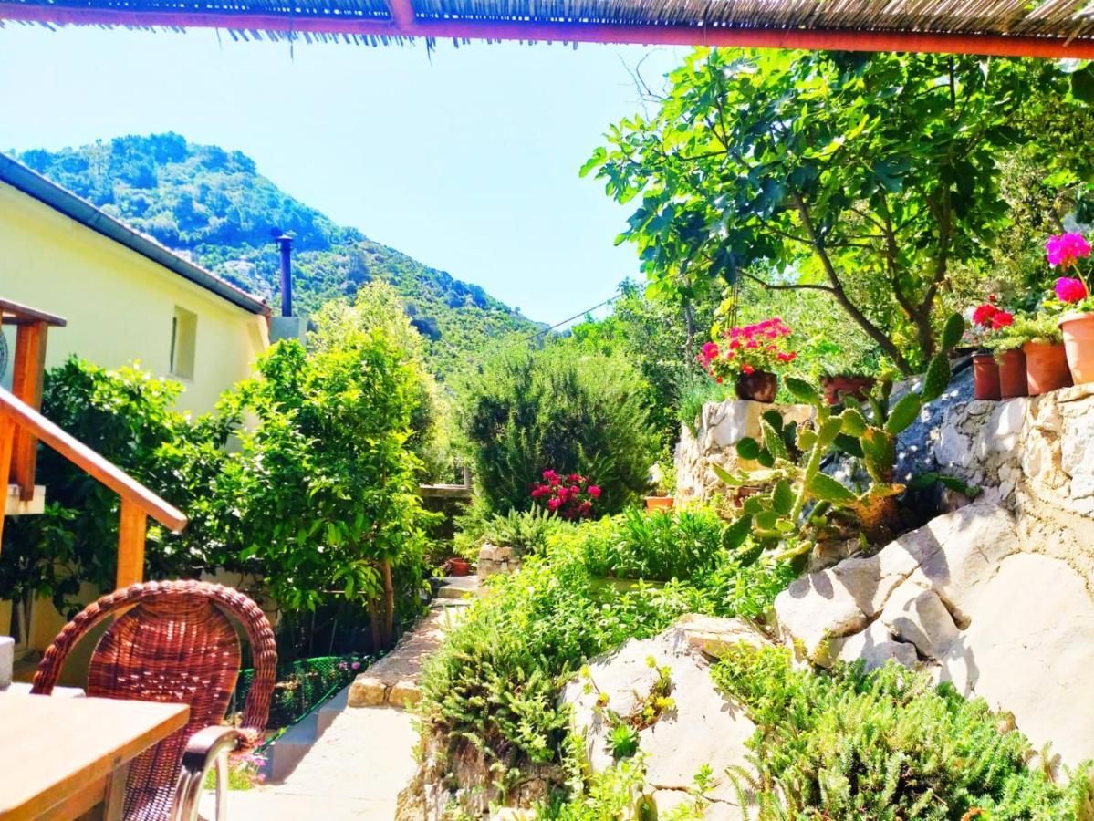Villa Anita Sobra ภายนอก รูปภาพ