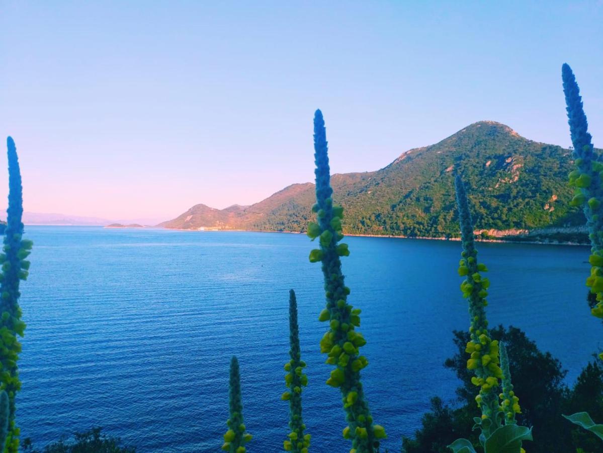 Villa Anita Sobra ภายนอก รูปภาพ